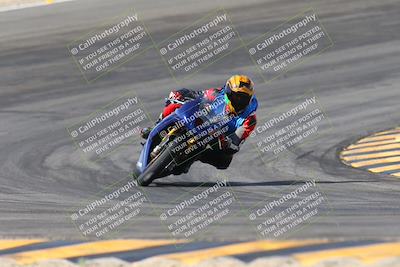 media/Mar-09-2024-SoCal Trackdays (Sat) [[bef1deb9bf]]/1-Bowl Exit (940am)/